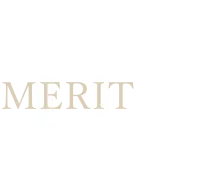 MERIT 01